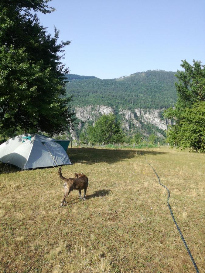 Rafting Camp Apartments Montenegro Goran Lekovic Žabljak Zewnętrze zdjęcie