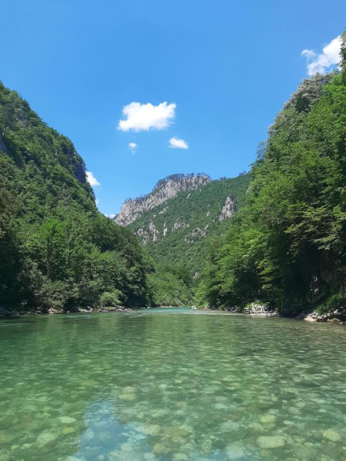 Rafting Camp Apartments Montenegro Goran Lekovic Žabljak Zewnętrze zdjęcie